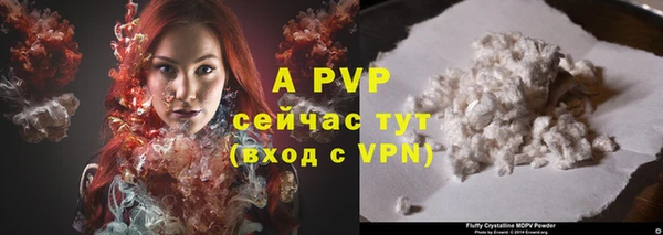 амф Майский