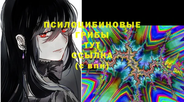 амф Майский