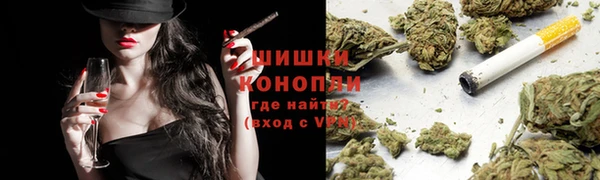МДПВ Мегион