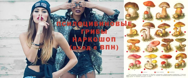 амф Майский